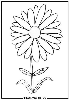 Link dowload 55 tranh tô màu bông hoa 5 cánh đẹp nhất 2023