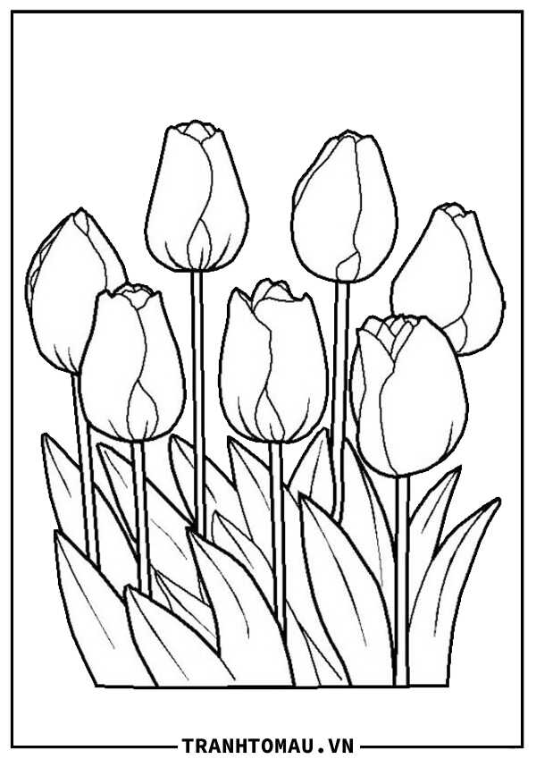 tranh to mau hoa tulip 1