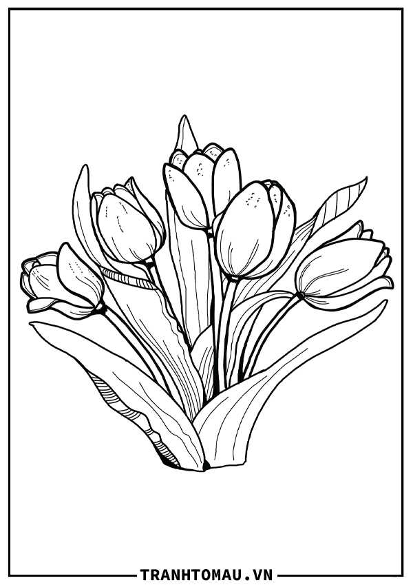 tranh to mau hoa tulip 2