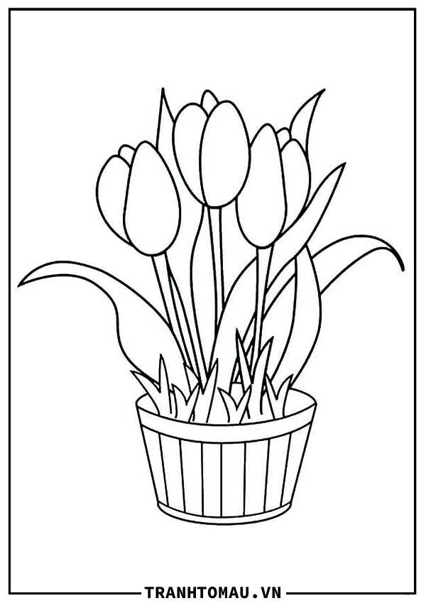 tranh to mau hoa tulip 5