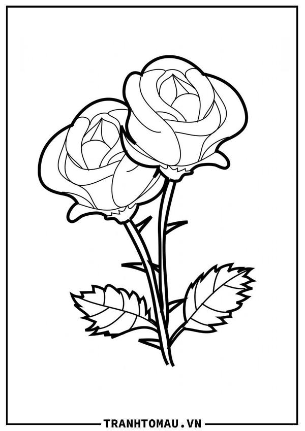 Tranh Tô Màu Hoa Hồng
