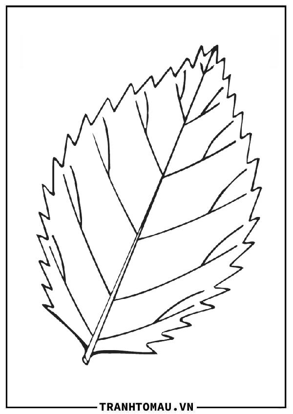 Tranh Tô Màu Lá Cây