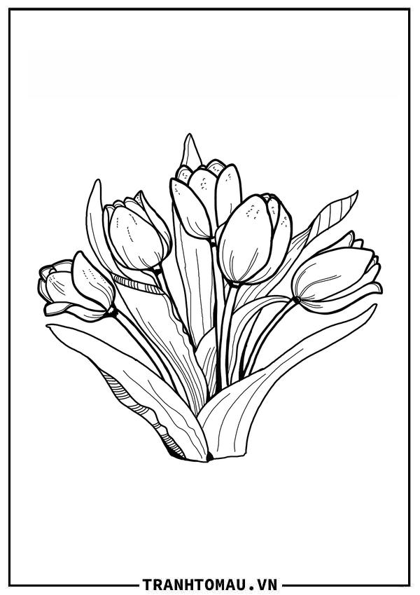Tranh Tô Màu Hoa Tulip