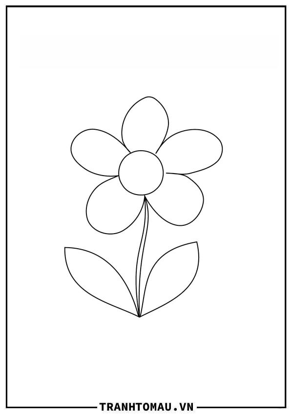 Tranh Tô Màu Bông Hoa 5 Cánh
