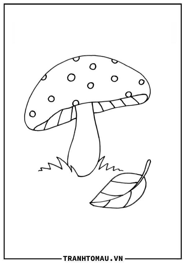 Tranh Tô Màu Cây Nấm