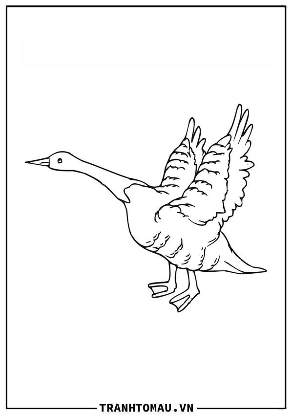 Tuyển tập Tranh Tô Màu Con Ngỗng cute nhất mọi thời đại