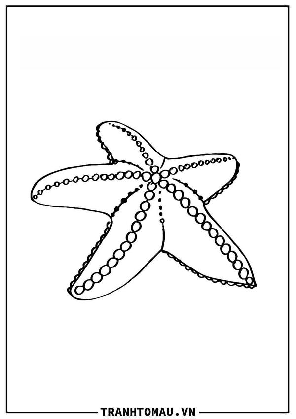 Bộ Tranh Tô Màu Con Sao Biển cực cute dành cho bé tập tô
