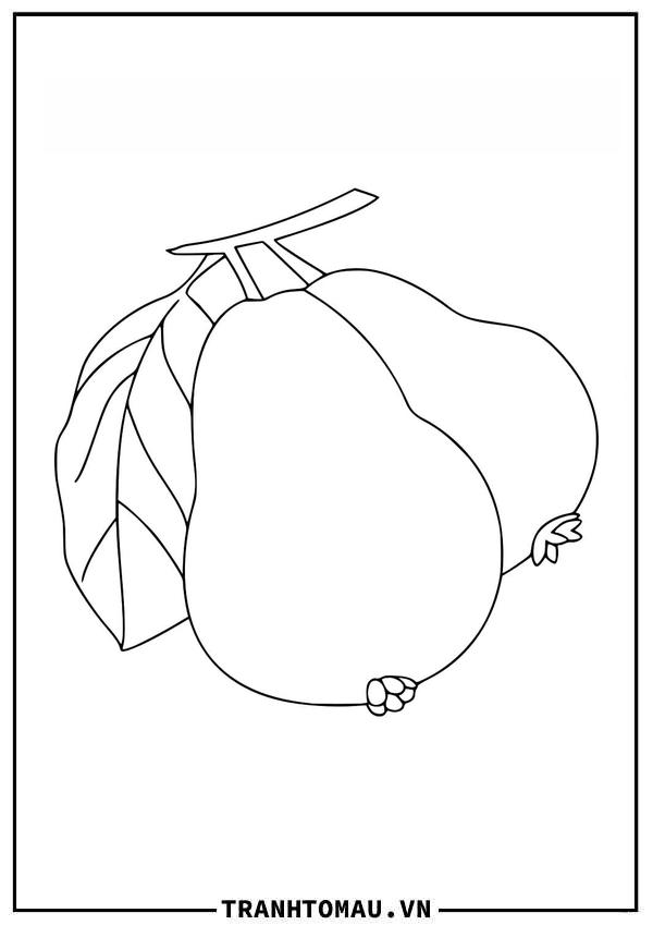 Tuyển chọn những bức Tranh Tô Màu Quả Ổi sinh động và hấp dẫn nhất