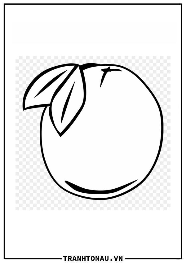 Tranh Tô Màu Quả Bưởi