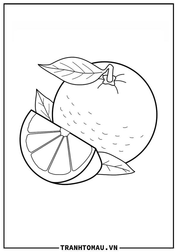 Tranh Tô Màu Quả Cam