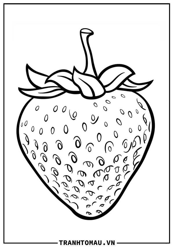 Tranh Tô Màu Quả Dâu Tây
