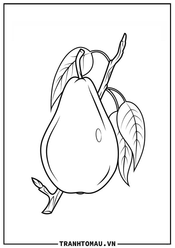 Tranh Tô Màu Quả Lê