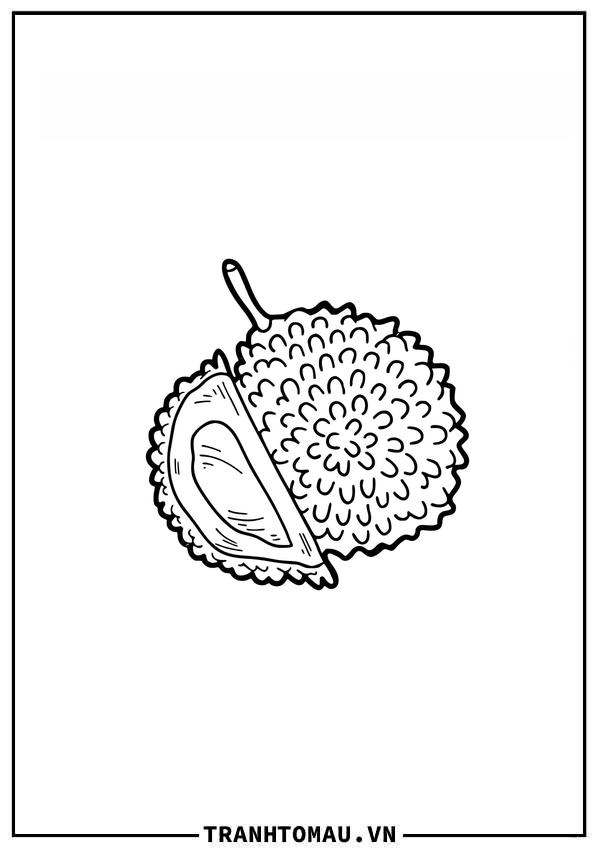 Top những bức Tranh Tô Màu Quả Sầu Riêng dễ thương và xinh xắn khiến bé thích mê