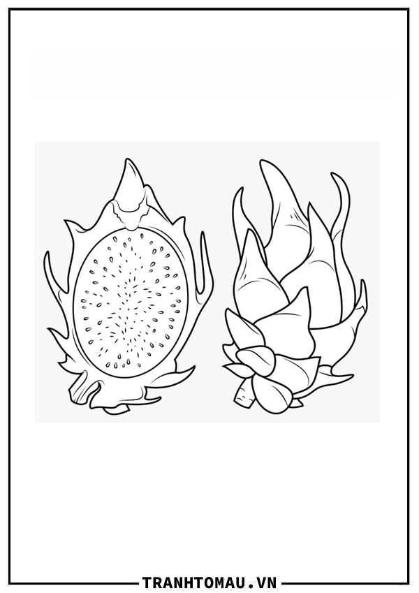 Tranh Tô Màu Quả Thanh Long
