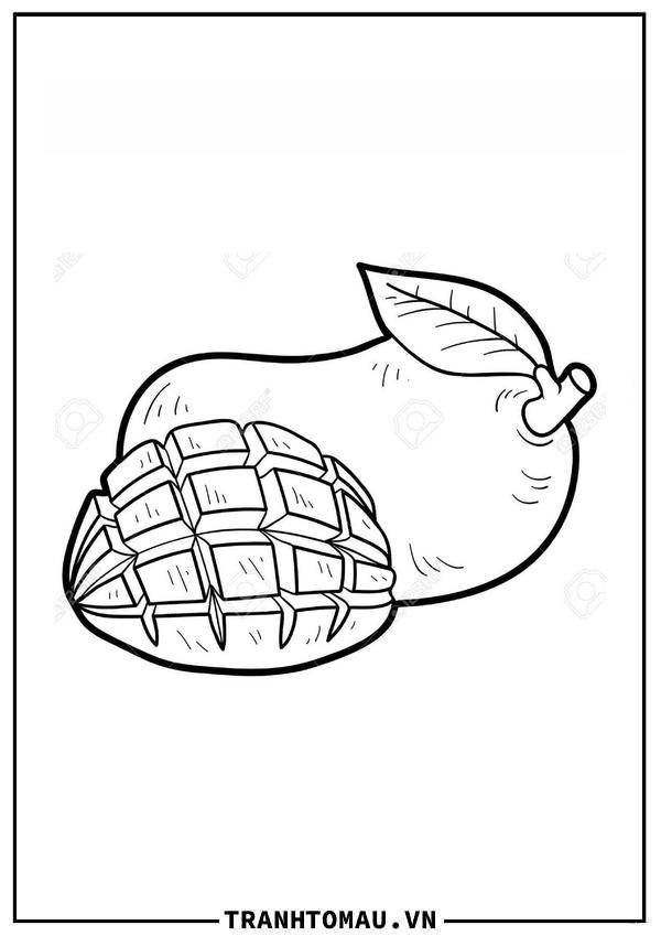 Tranh Tô Màu Quả Xoài