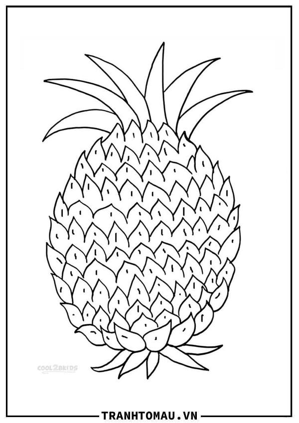 Tranh Tô Màu Quả Dứa